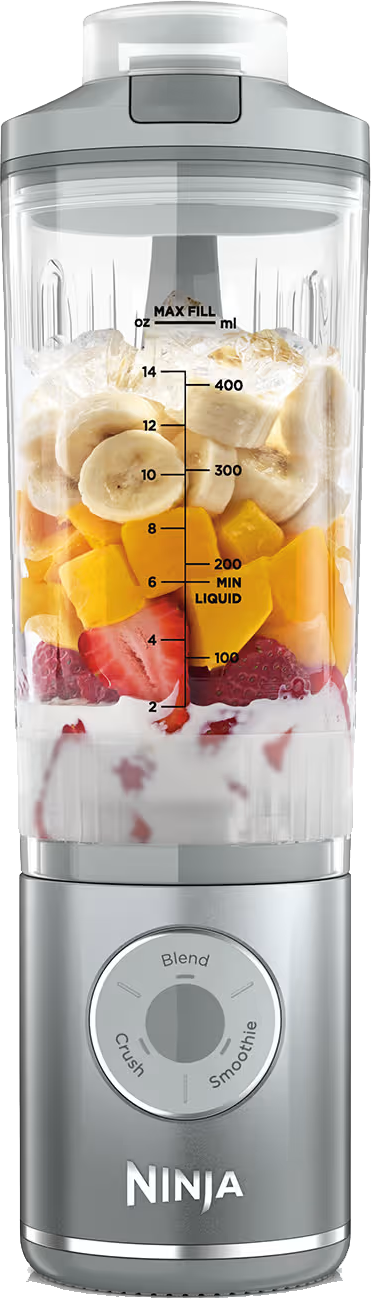 Blast Max Portable Blender Silver