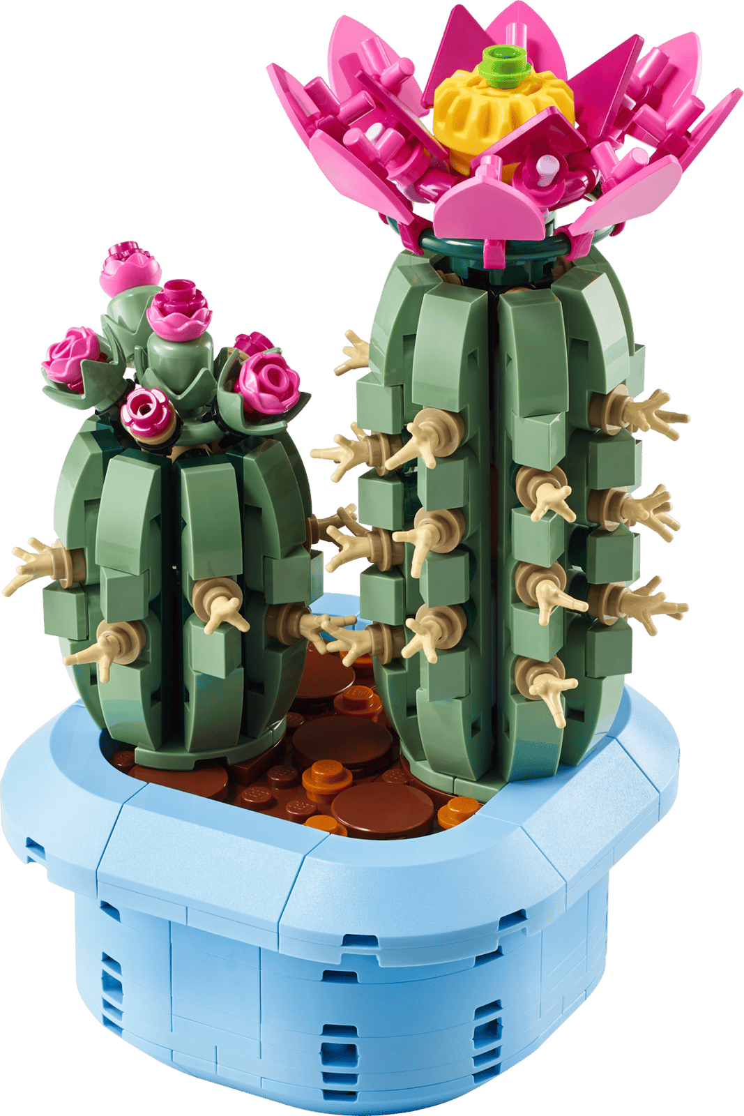 Botanicals Flowering Cactus