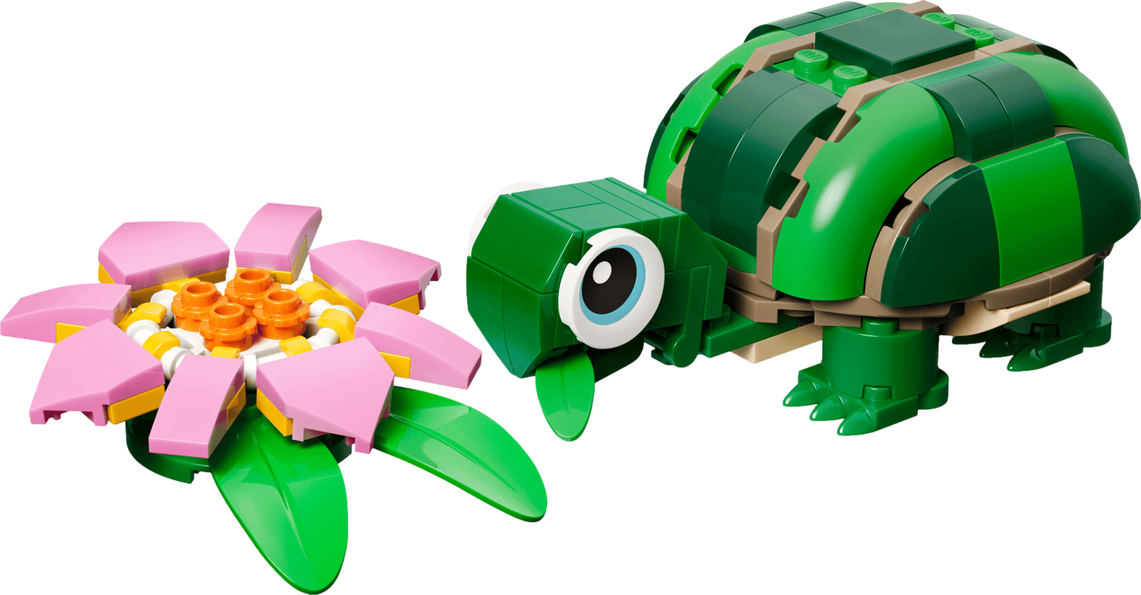 Creator 3-in-1 Turtle with a Water Lily Flower
