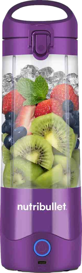 Portable Blender Purple