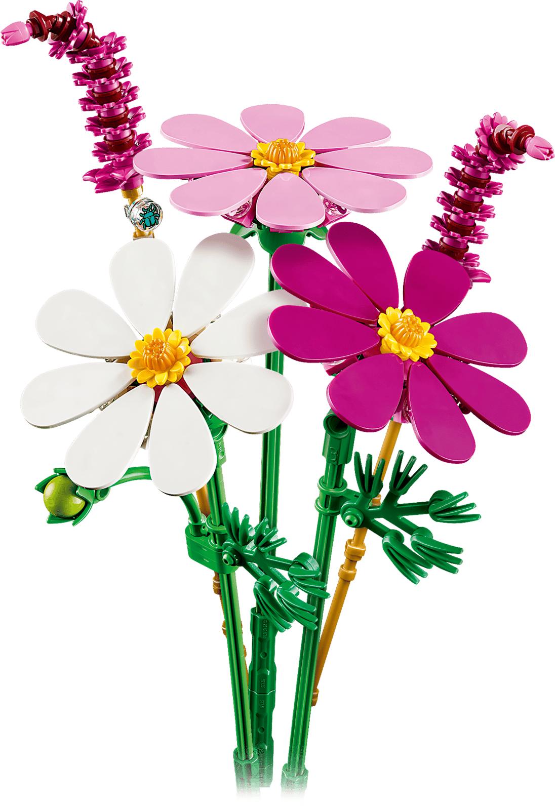 Botanicals Cosmos Flowers