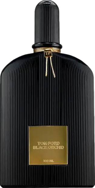 Black Orchid Eau De Parfum 100ml