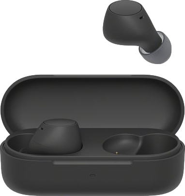 True Wireless Bluetooth Earbuds with 22 Hour Battery Life Black